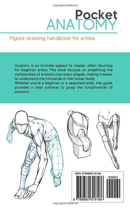 Colour Figure Drawing - Hình 2