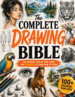 Beginner Drawing Guide